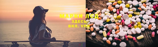 PSILOCYBIN Шали