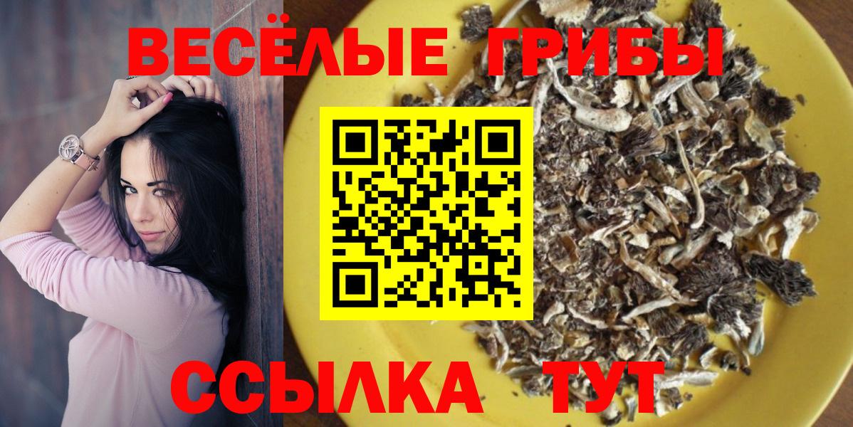 Старый Оскол  Псилоцибиновые грибы ЛСД  Вход с VPN 
