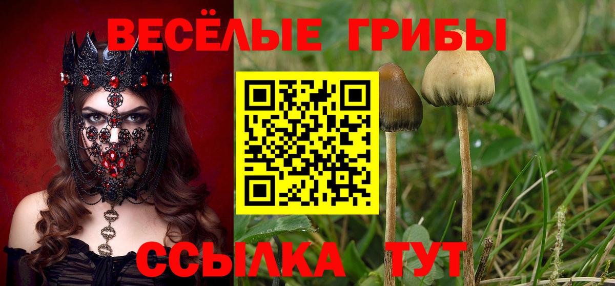 Псилоцибиновые грибы GOLDEN TEACHER Старый Оскол